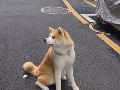 -松松咖啡