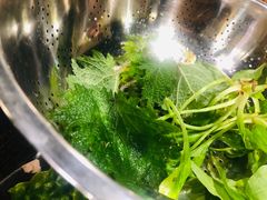 -黔府豆米火锅野菜馆(南马店)