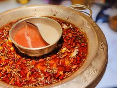 -哥老官重庆美蛙鱼头(松江地中海十八哥店)