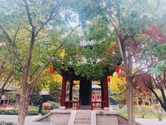 -碑林公园
