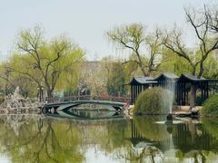 -西苑公园
