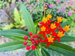 -四川大学博物馆