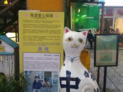 -猫咪博物馆(顶澳仔猫街店)