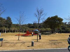 -野狸岛