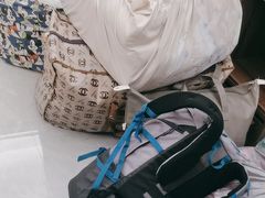 -蚂蚁搬家成都打包搬运公司