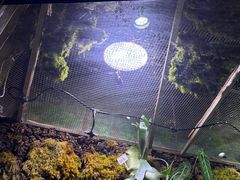 -正佳雨林生态植物园