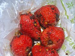 -雪儿钱局泡菜