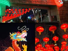 -南宫五洲植物乐园