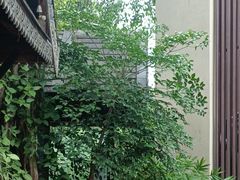 -相约小筑缅泰餐厅(孟定店)