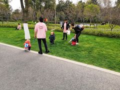 -昆山城市生态森林公园