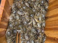 -初色海鲜自助(万丰路店)