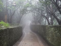 -普陀山风景区-佛顶山