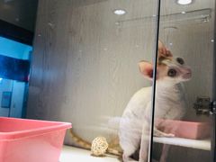 -乐宠宠物店(世纪金源店)