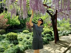 -嘉定紫藤园