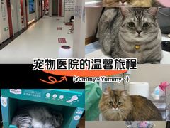 -御宝贝24h宠物医院·转诊中心·CT核磁血透中心(厦门总院)
