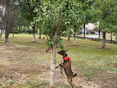 -桃源咖啡厅(武夷山大红袍山庄店)