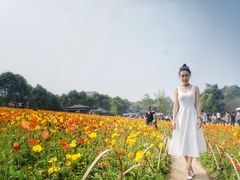 -保利石象湖景区