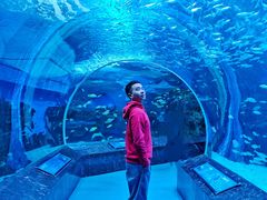 -海合安成都极地海洋公园