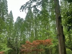 -上海怡沁园度假酒店