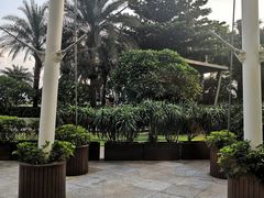 -源·咖啡自助餐厅·海鲜·烧烤·三文鱼(海口华彩洲际酒店)