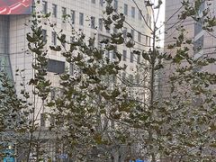 -上海置地广场(南京东路店)