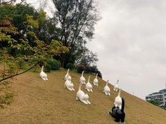 -广州雕塑公园