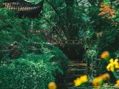 -上海醉白池公园