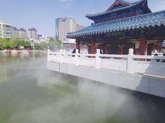 -雁滩公园
