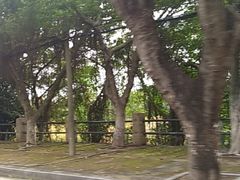 -大湾区中央湿地公园