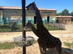 -鄂尔多斯野生动物园