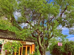 -村上春树