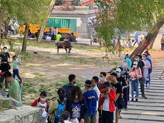 -阳台山自然风景区