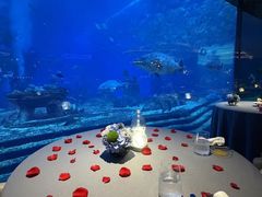 -OSSIANO奥西亚诺海底餐厅