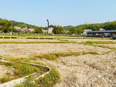 -红山村