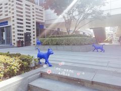-中海环宇荟