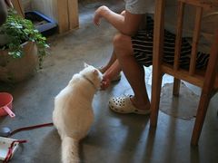 -Babycat私家御饼屋(龙头路一店)