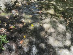 -本溪汤沟绿石谷森林公园