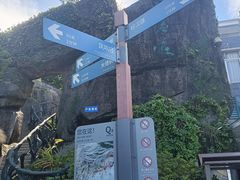 -梧桐山风景名胜区