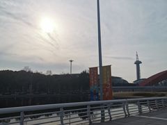 -南京奥林匹克体育中心-体育馆