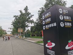 -国际非物质文化遗产博览园