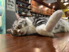 -咖法森林·咖啡  酒吧(天河店)