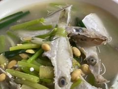剥皮鱼-蛇口康乐快餐鱼仔档(翠苑小区店)