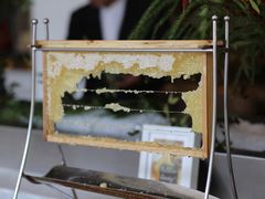 -宁海安岚·南溪阁全日餐厅