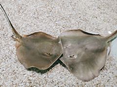 -台州海洋世界