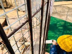 -萌宠亲子动物乐园(槐房万达店)