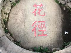 -庐山风景区花径公园