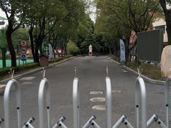 -上海理工大学附属杨浦少云中学