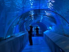 -太平洋海底世界