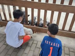 -太阳岛度假酒店