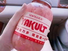 -森茶(湛江万达店)